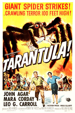 TARANTULA!