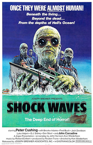 SHOCK WAVES